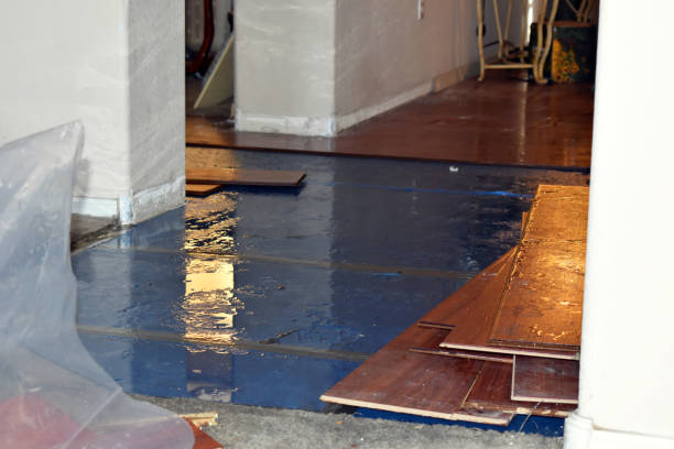Professional Burst Pipe Cleanup technician working in Finlayson, MN